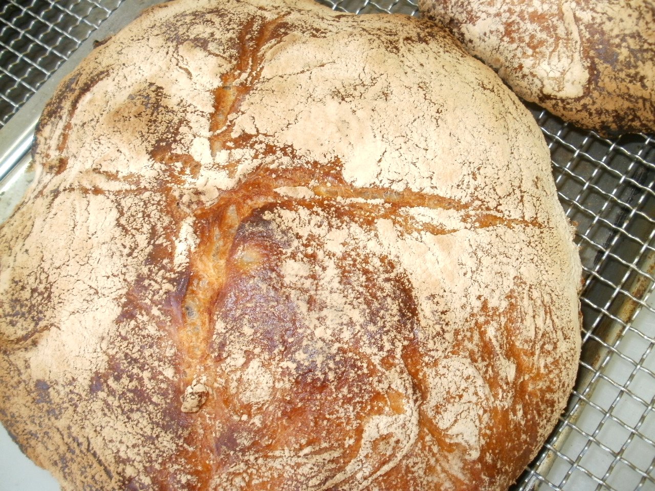 http://www.spelt-recipe.jp/recipe/%E5%A4%96%E8%A6%B3-2.JPG